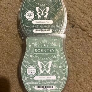 Scentsy wax #1